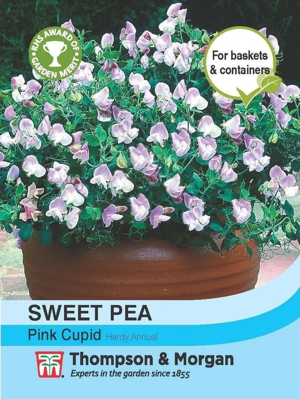 justseed2964021