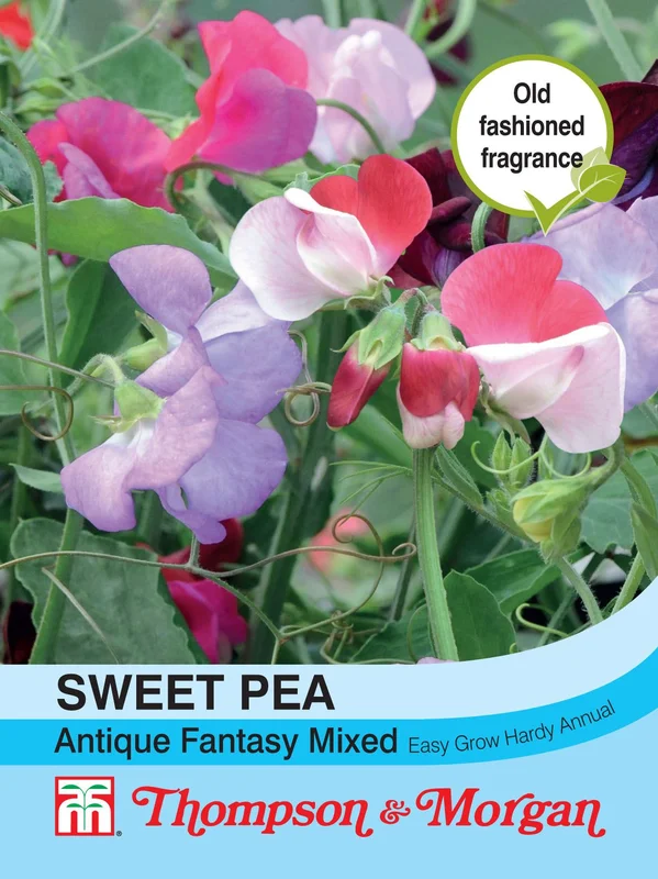 justseed2964084