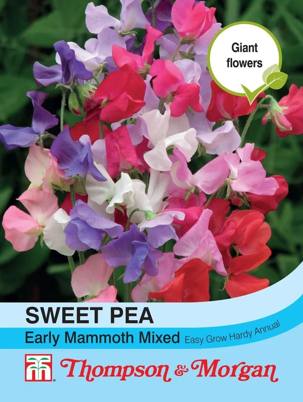 justseed2964106