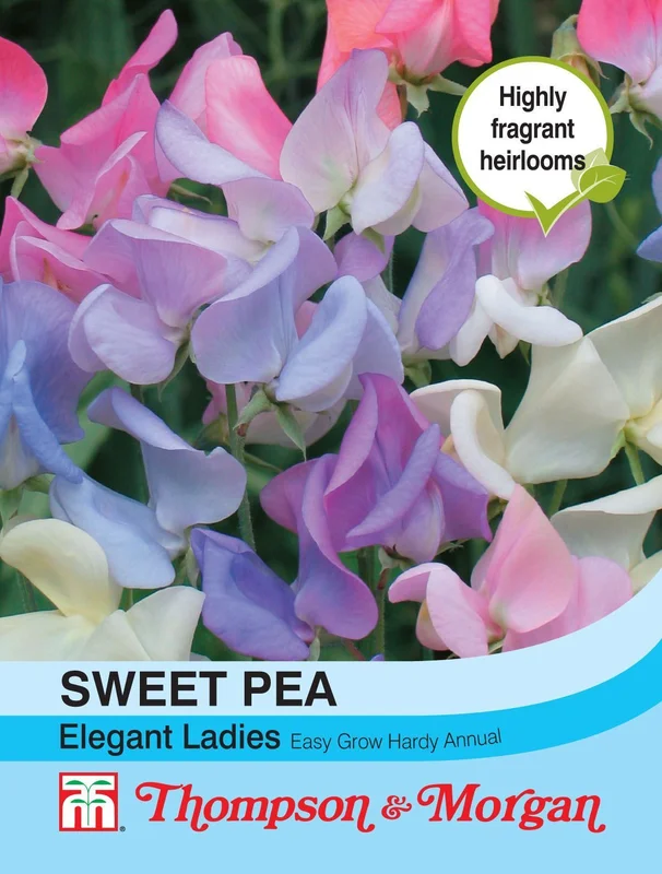 justseed2965180