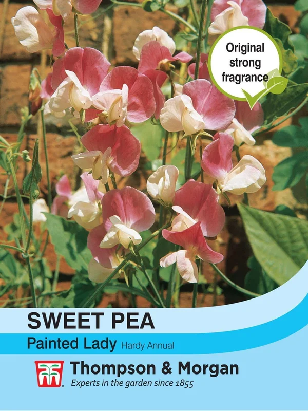 justseed2965606