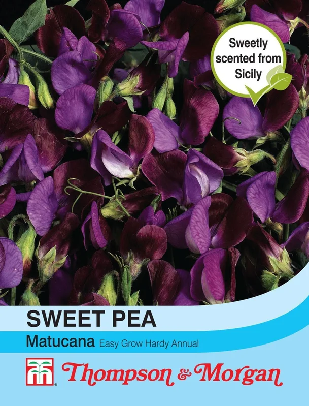 justseed2965694