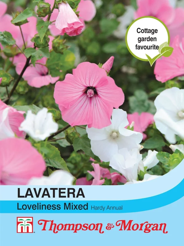 justseed2966177