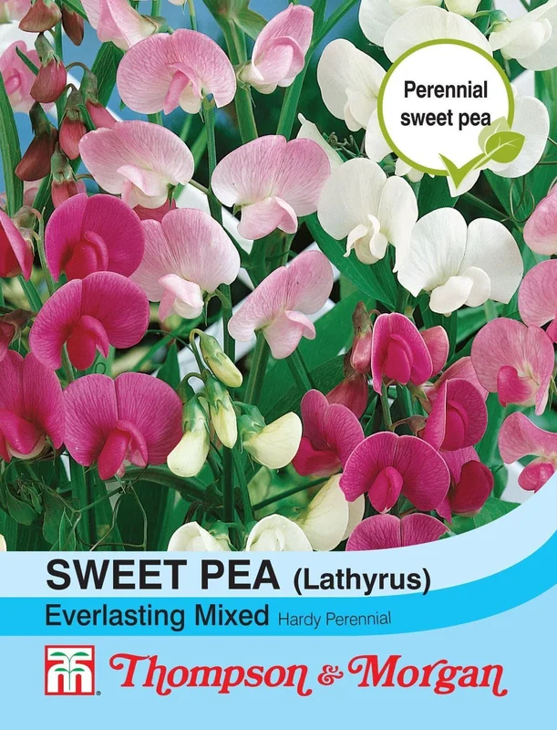justseed2966509