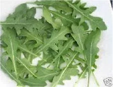 justseed2967133