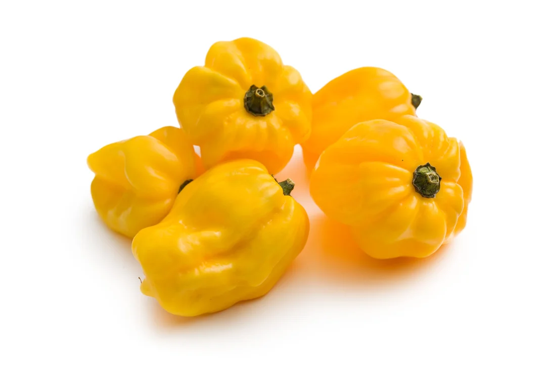 justseed2969073