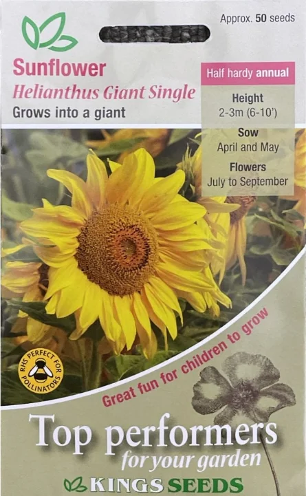 justseed2982875