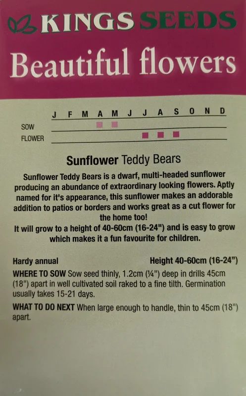 justseed2982959