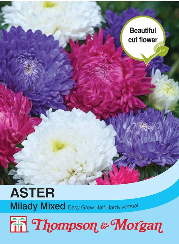 justseed2986291