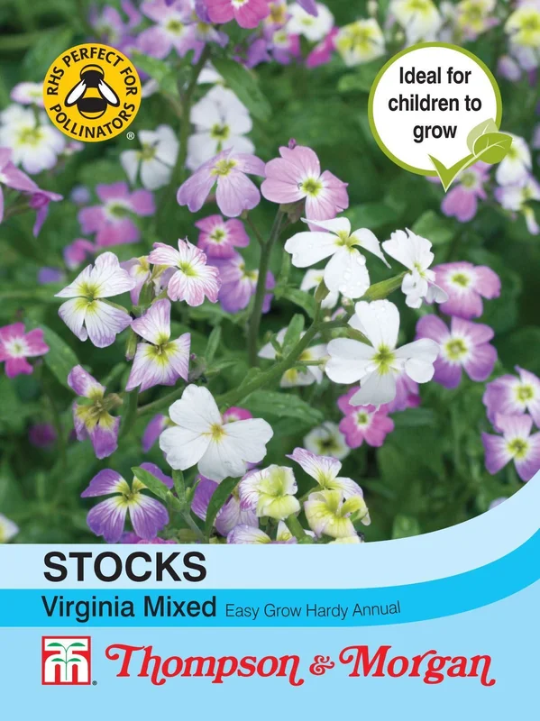 justseed2986375