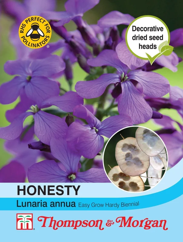justseed2986975