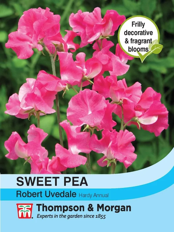 justseed2987553