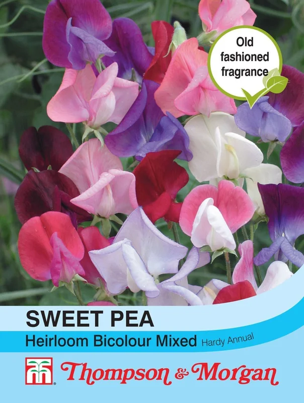 justseed2989183