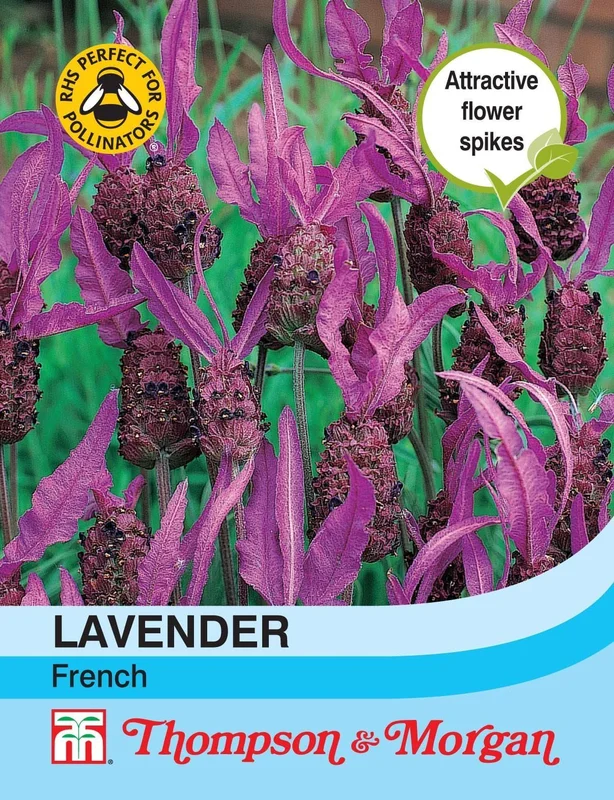 justseed2989689
