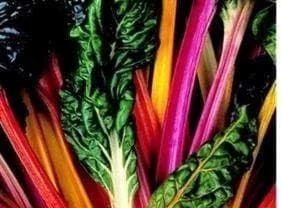 justseed2990324