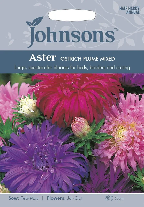 justseed3005333