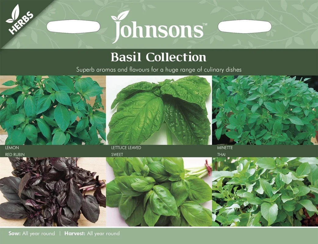 justseed3007843