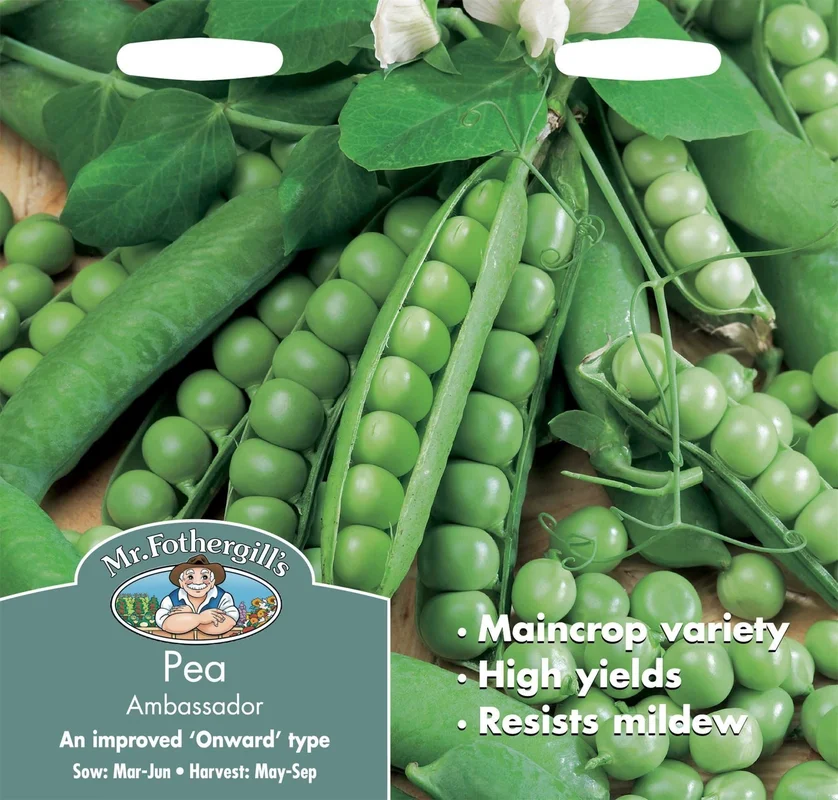 justseed3014332