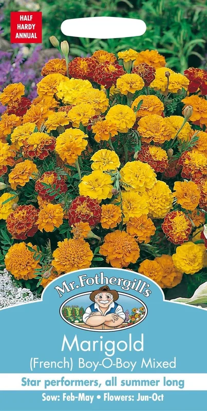justseed3016302