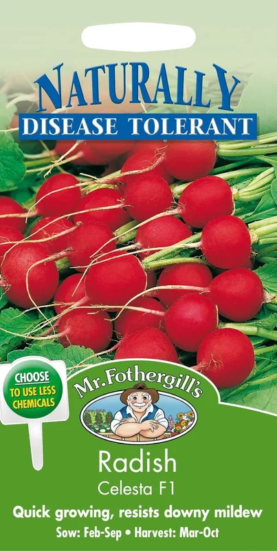 justseed3021269