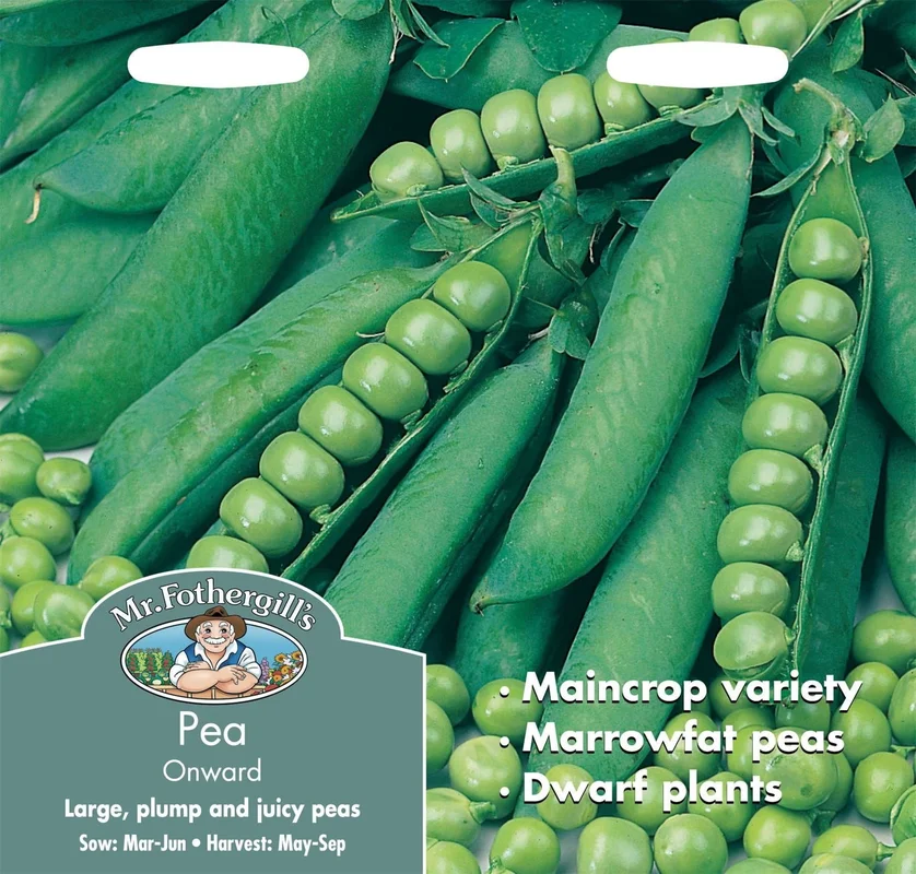 justseed3021480