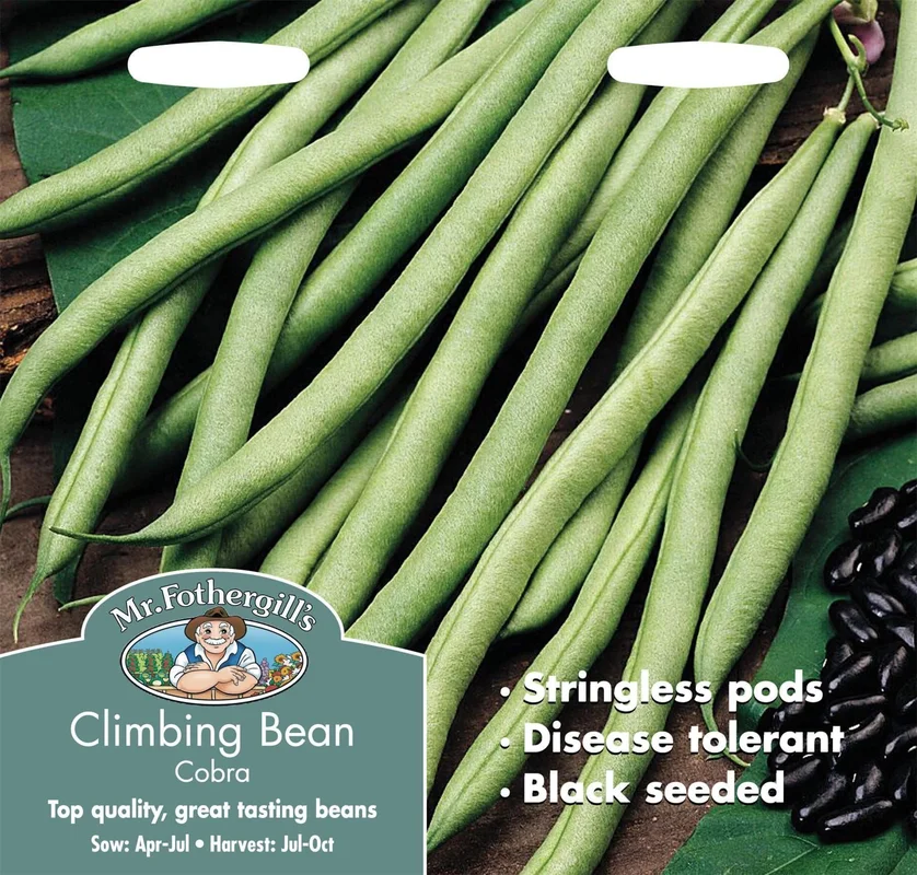 justseed3021508