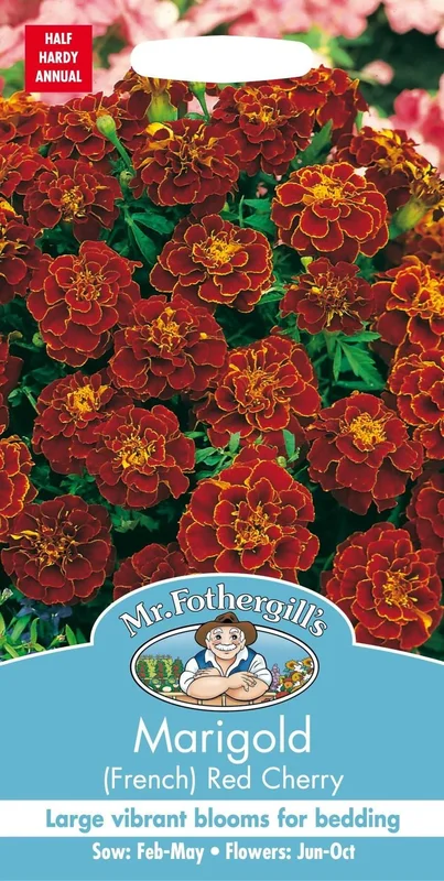 justseed3024139