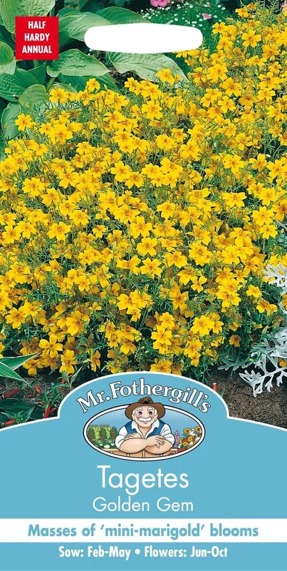 justseed3024609