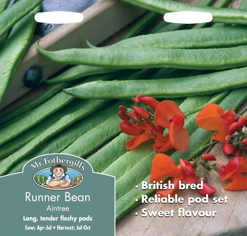 justseed3026545