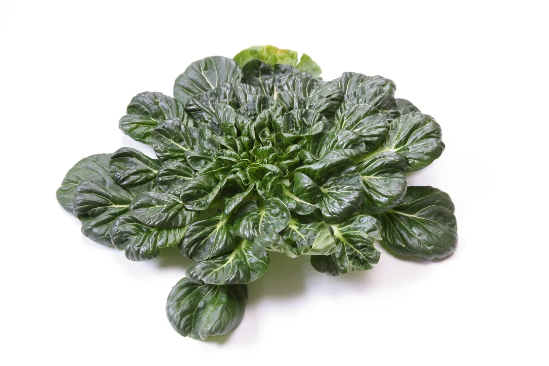 justseed3028729
