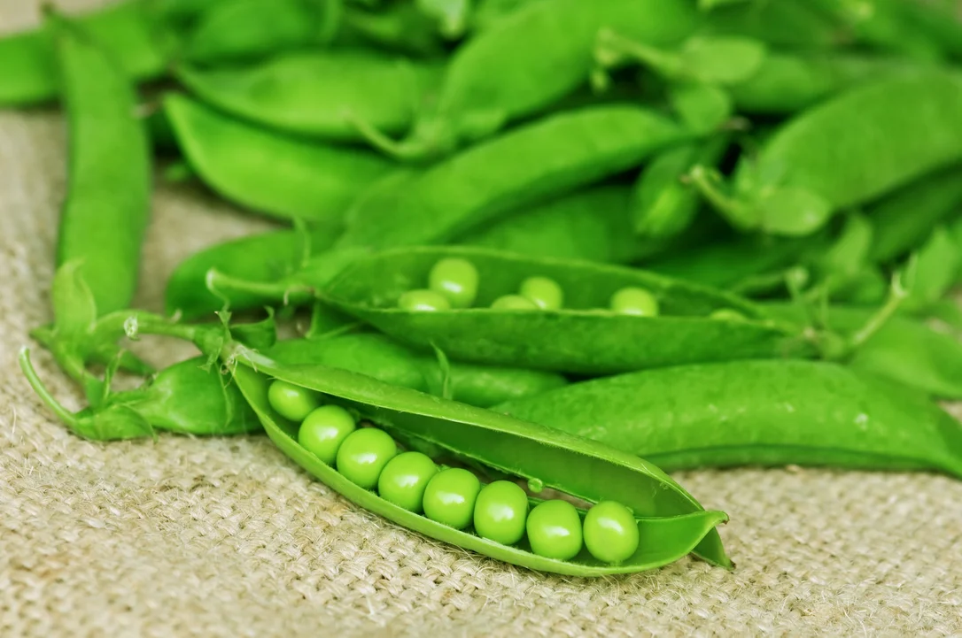 justseed3029209