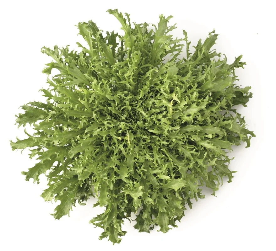 justseed3029698