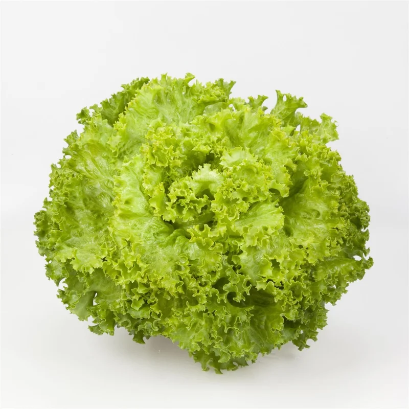 justseed3029785