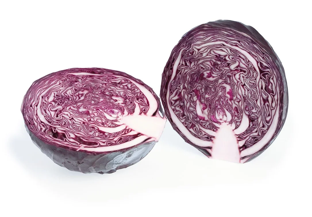 justseed3029835