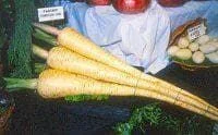 justseed3029957