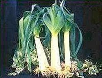 justseed3030074