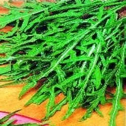 justseed3030476