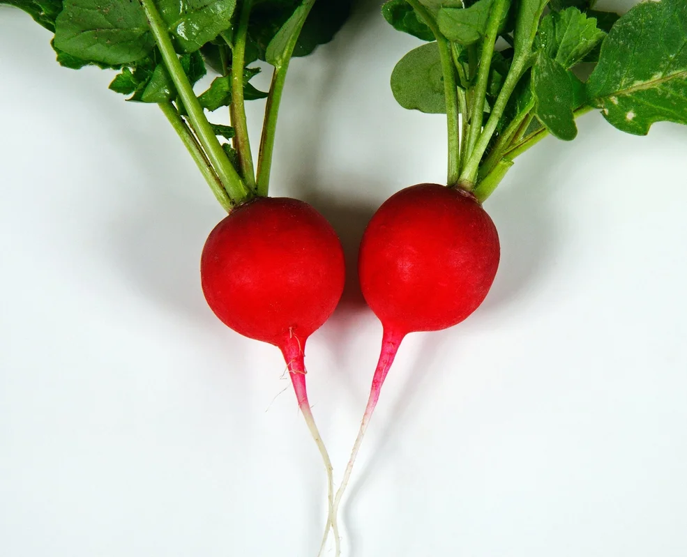 justseed3031064