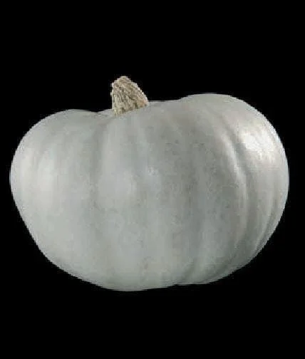 justseed3031265