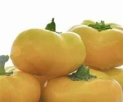 justseed3031344