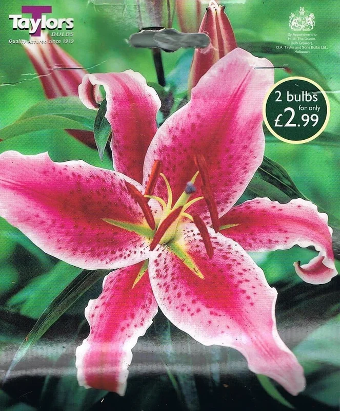 justseed3031874