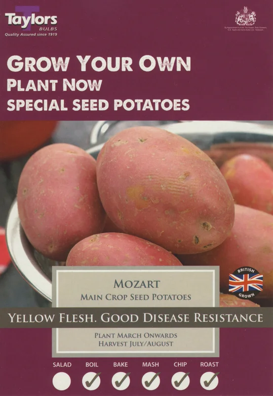 justseed3032202
