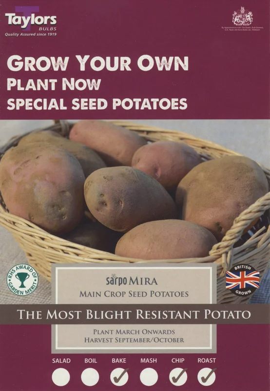 justseed3032402