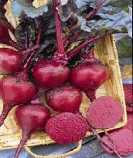 justseed3038084