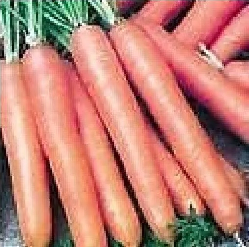 justseed3039116