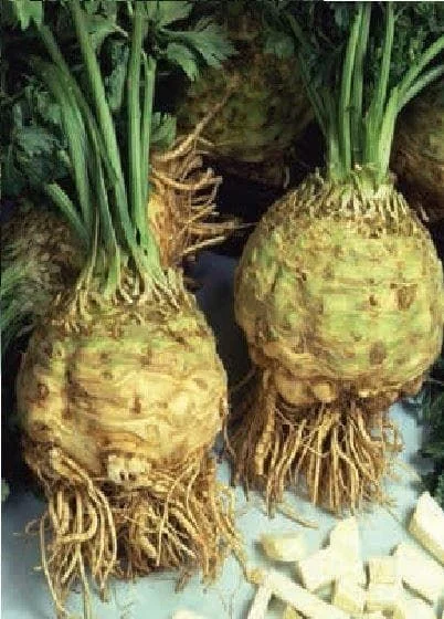 justseed3039187