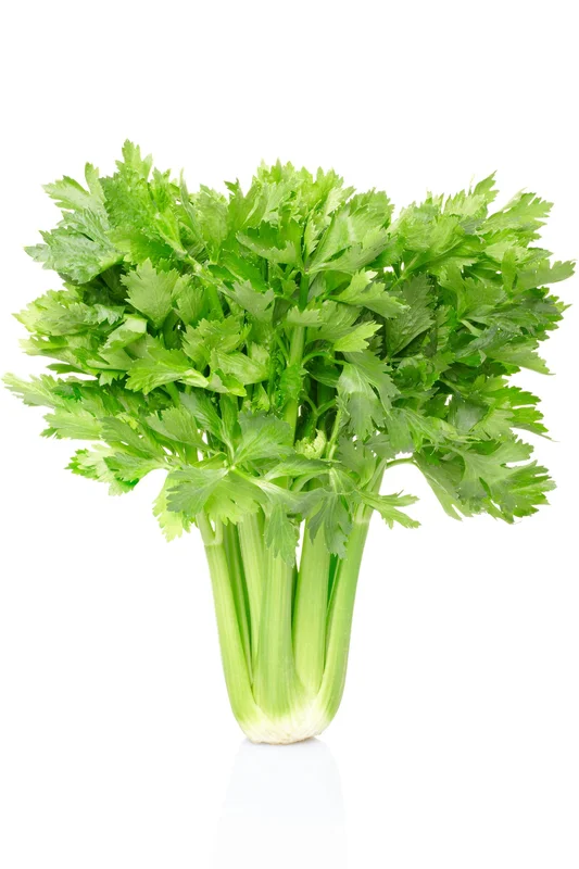 justseed3039245