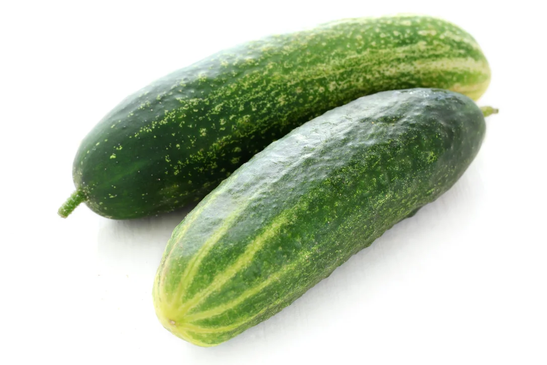 justseed3039530