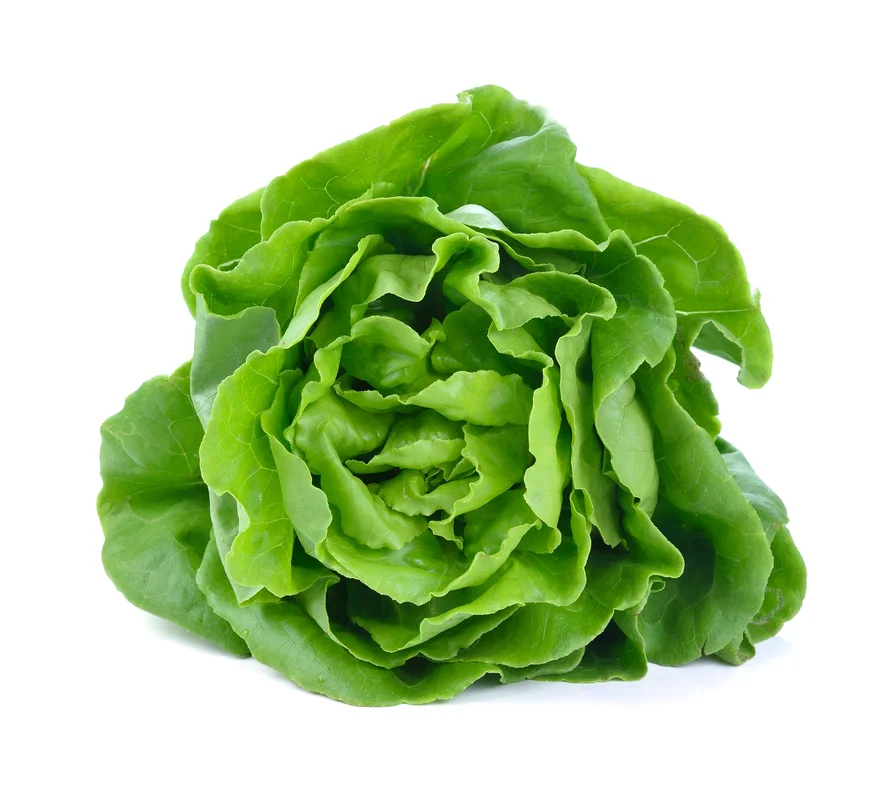justseed3039839
