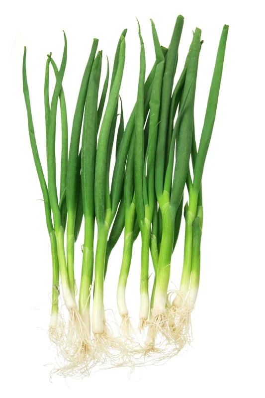 justseed3040272